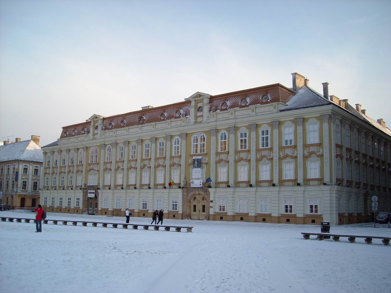 The Museum of Fine Arts